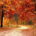automne