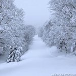 hiver-winter